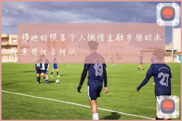 穆迪的陨落令人惋惜金融市场的未来将何去何从