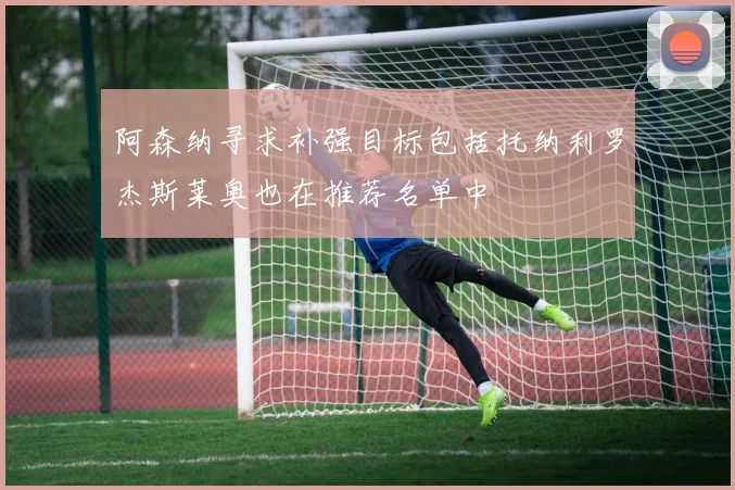 阿森纳寻求补强目标包括托纳利罗杰斯莱奥也在推荐名单中